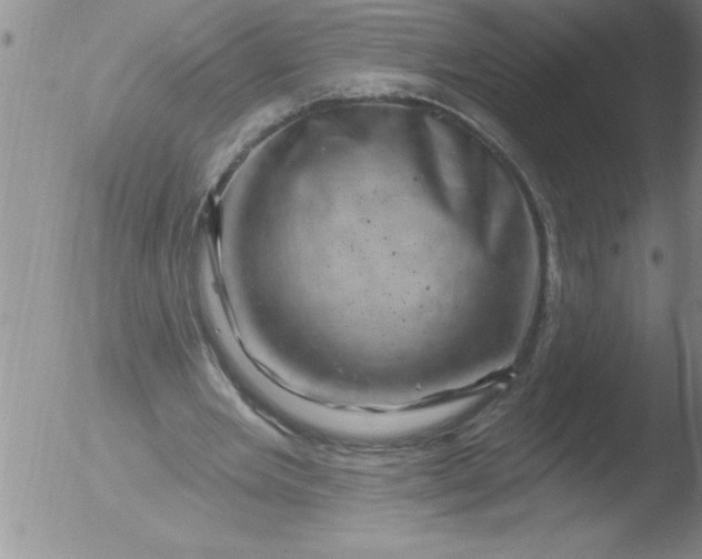 X0000051860485200507081826