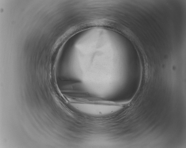 X0000051860486200507081826