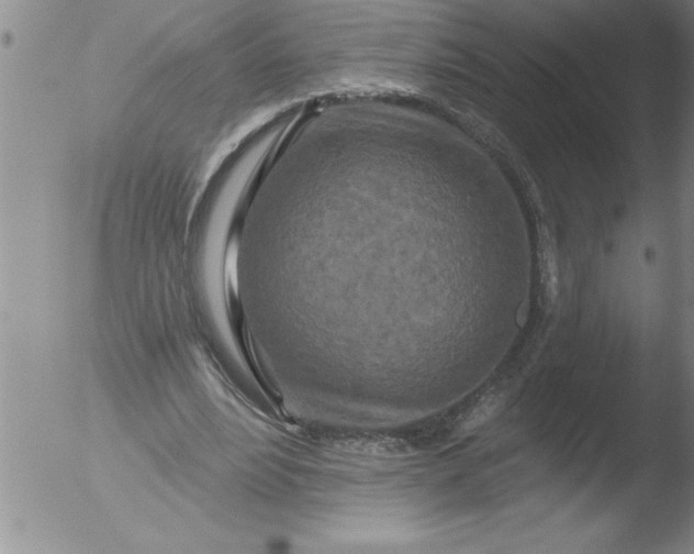 X0000051860488200507081826