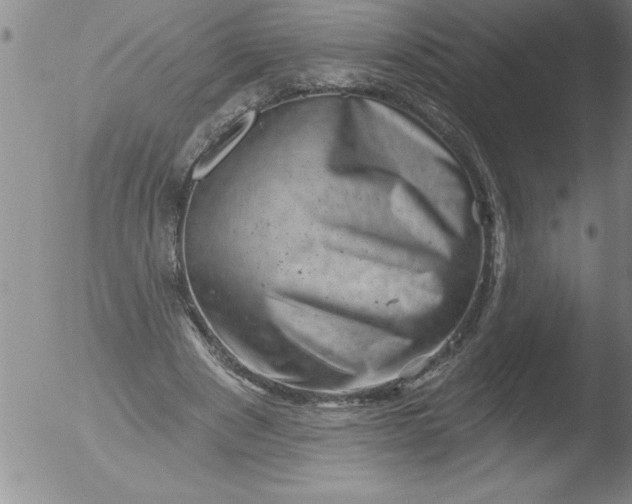 X0000051860489200507081826