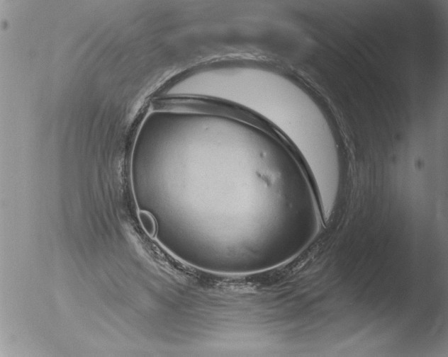 X0000051860491200507081826