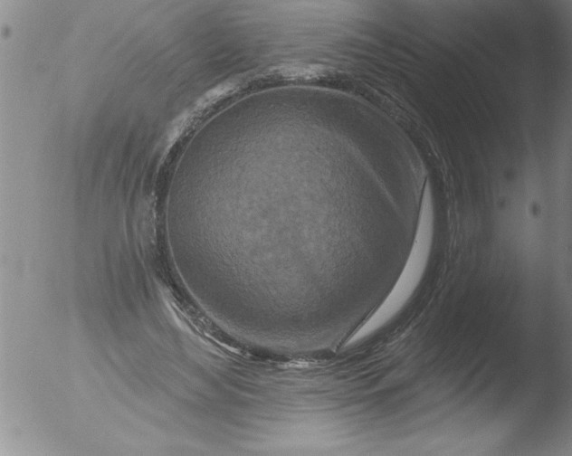 X0000051860492200507081826