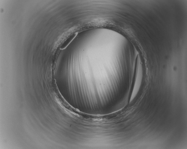 X0000051860493200507081826