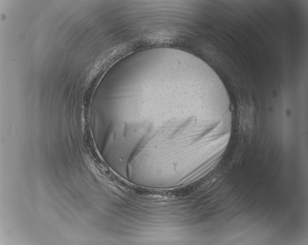 X0000051860494200507081826