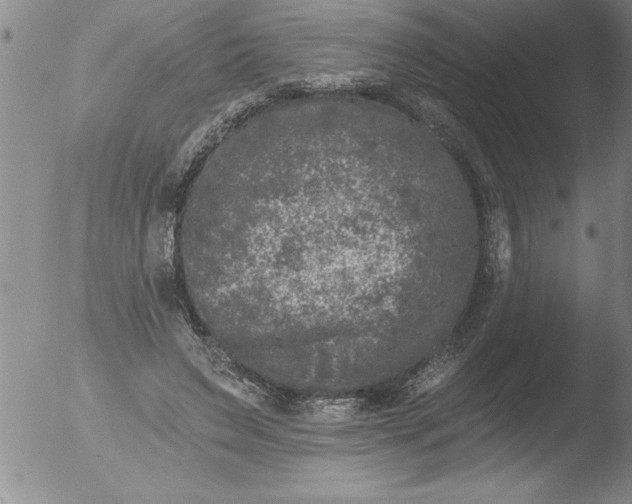 X0000051860495200507081826