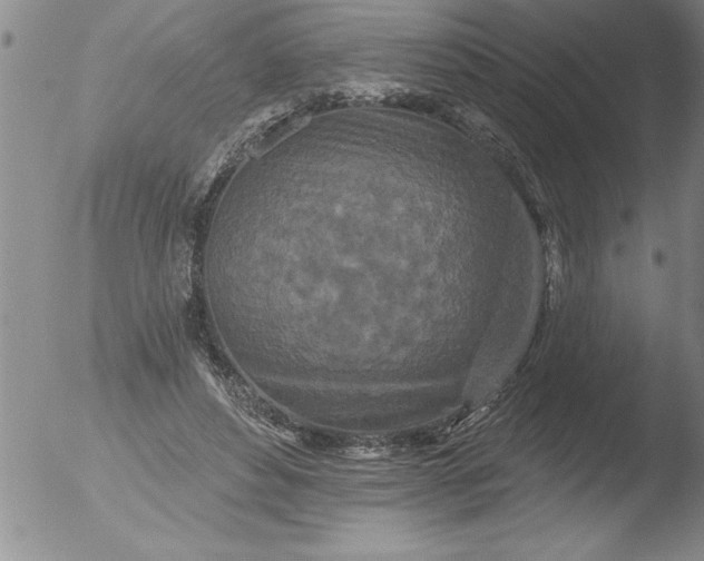 X0000051860496200507081826