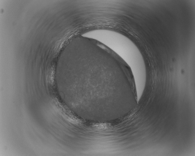 X0000051860499200507081826