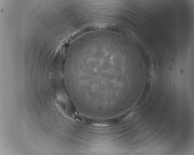 X0000051860500200507081826