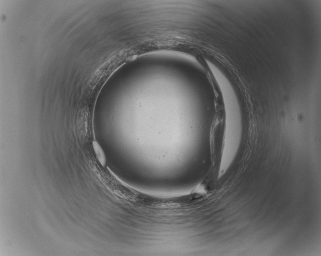 X0000051860501200507081826