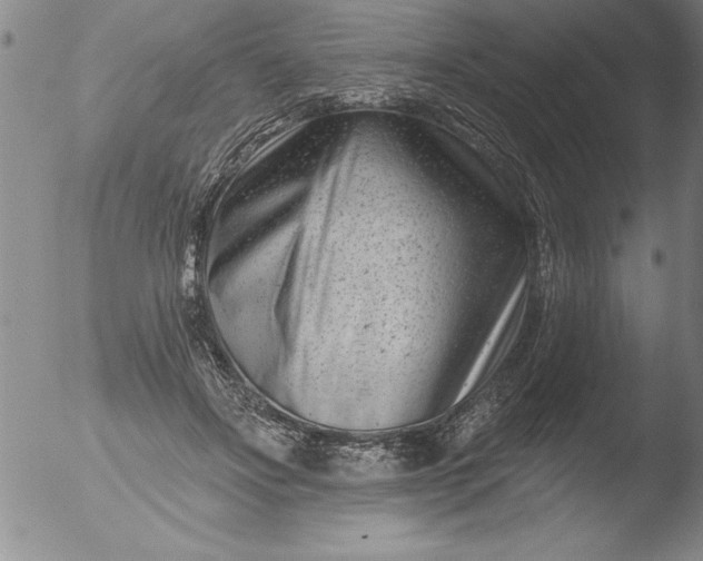 X0000051860502200507081826