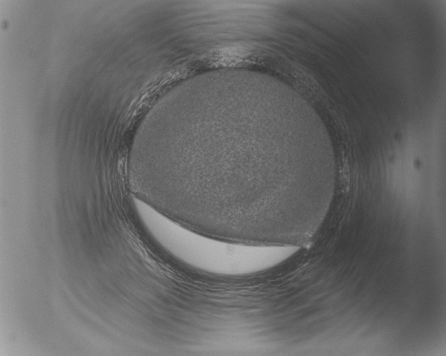 X0000051860503200507081826