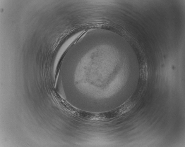 X0000051860504200507081826