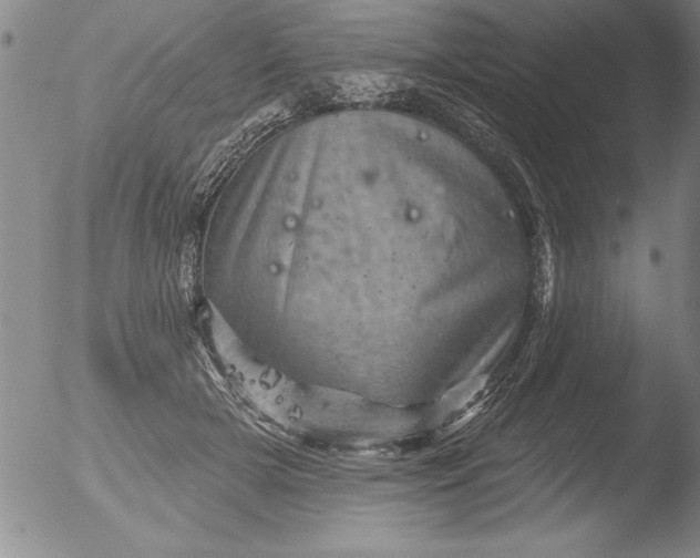 X0000051860505200507081826