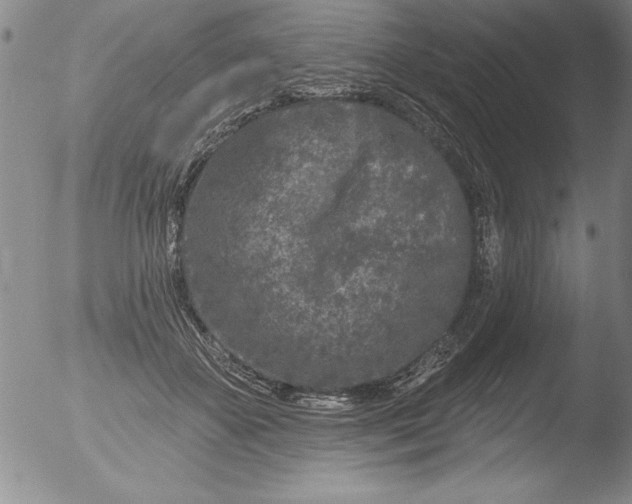 X0000051860507200507081826