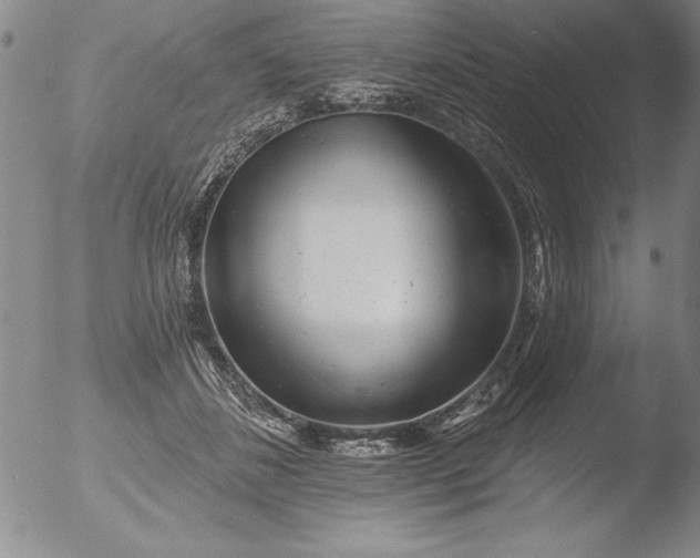 X0000051860508200507081826