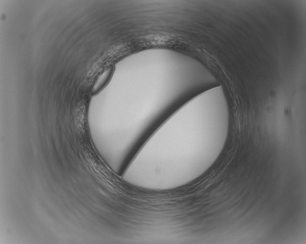 X0000051860509200507081826