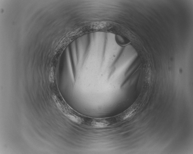 X0000051860510200507081826