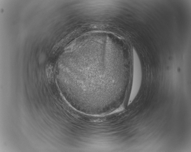 X0000051860511200507081826