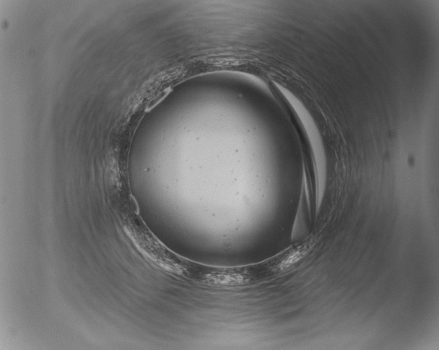 X0000051860512200507081826