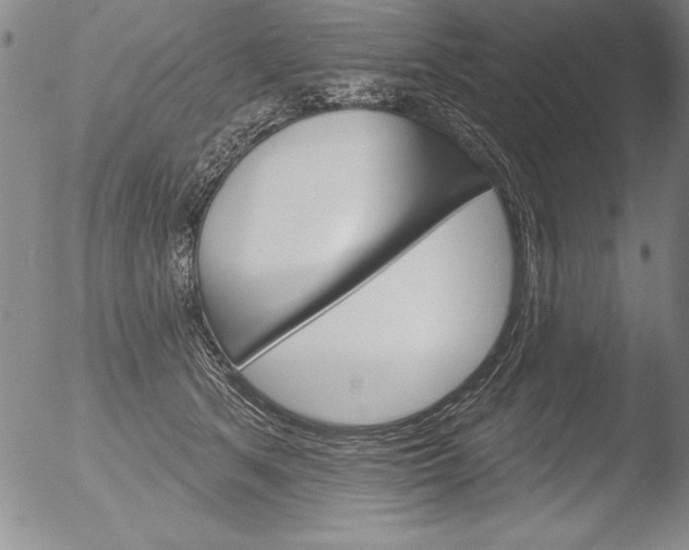 X0000051860513200507081826