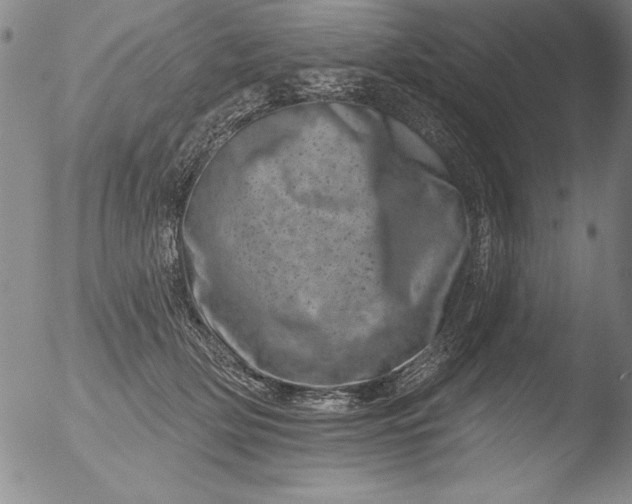 X0000051860514200507081826