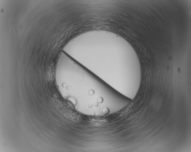 X0000051860515200507081826