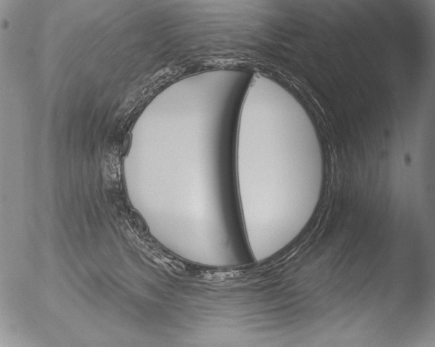 X0000051860517200507081826