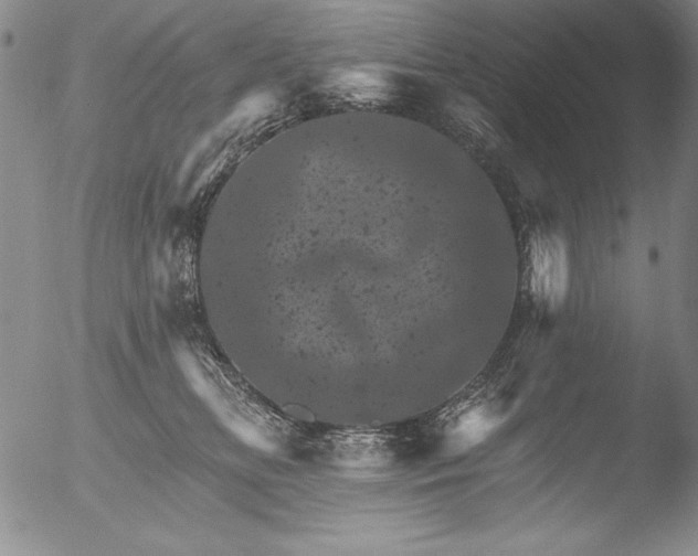 X0000051860518200507081826