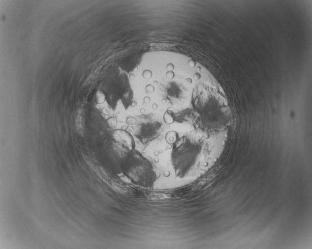 X0000051860519200507081826