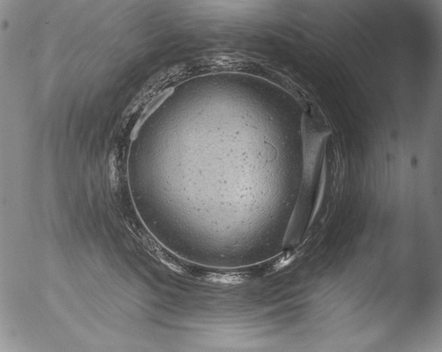 X0000051860520200507081826