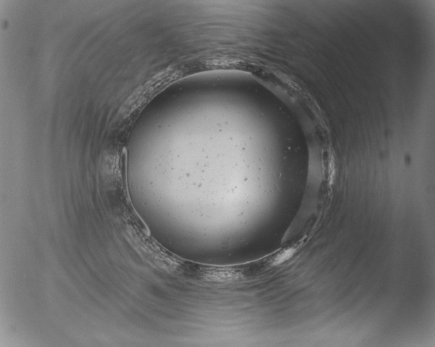 X0000051860521200507081826