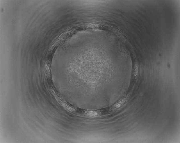 X0000051860522200507081826