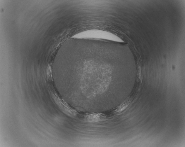 X0000051860523200507081826