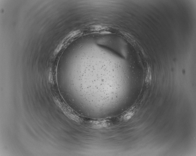 X0000051860524200507081826