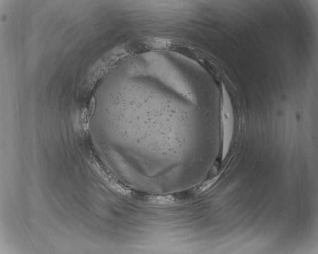 X0000051860525200507081826