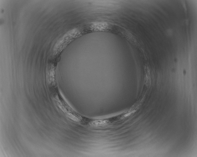 X0000051860526200507081826