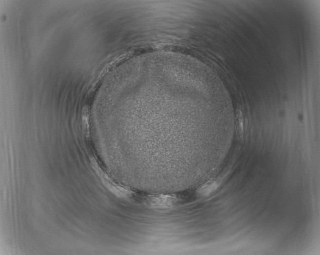 X0000051860527200507081826