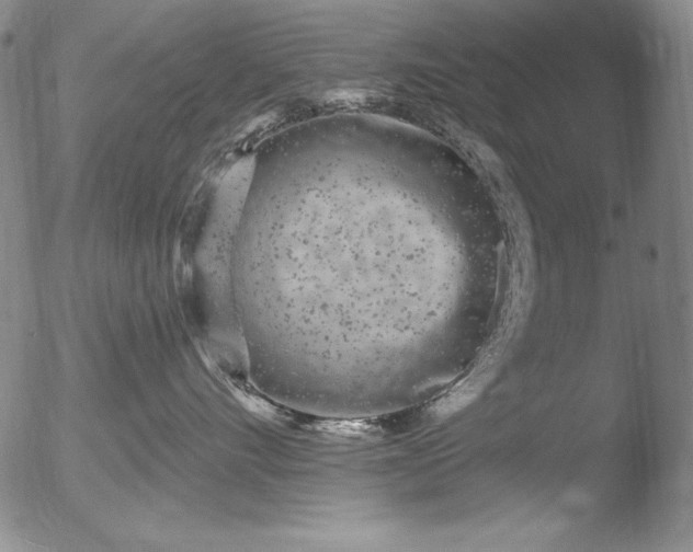 X0000051860528200507081826