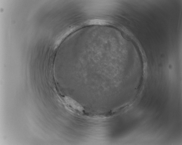 X0000051860529200507081825