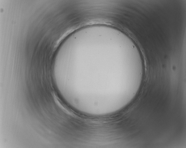 X0000051860530200507081825