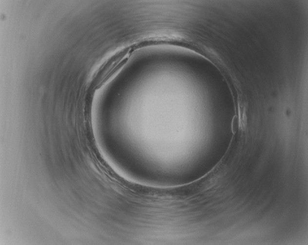 X0000051860531200507081825