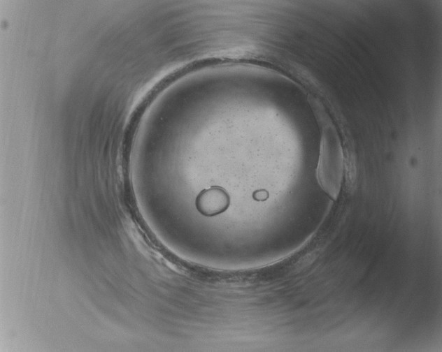 X0000051860532200507081825