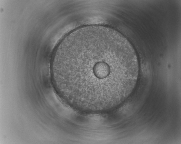 X0000051860534200507081825