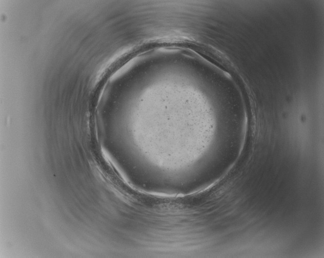 X0000051860535200507081825