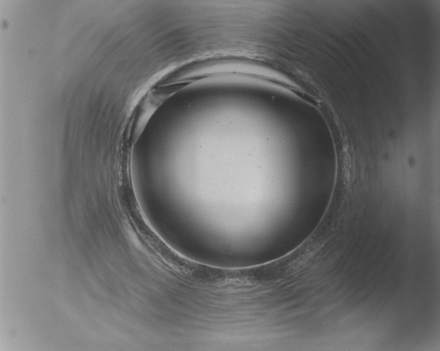 X0000051860536200507081825