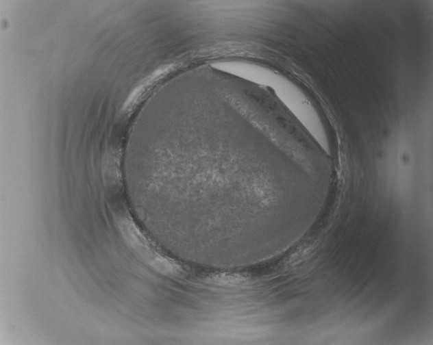 X0000051860537200507081825