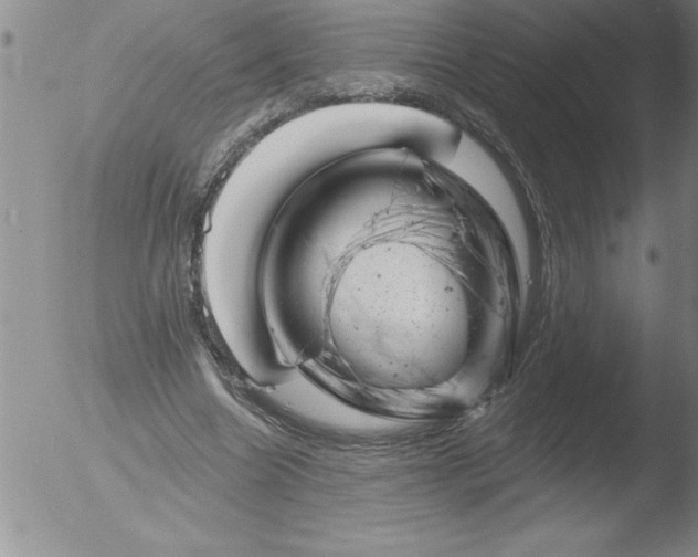 X0000051860538200507081825