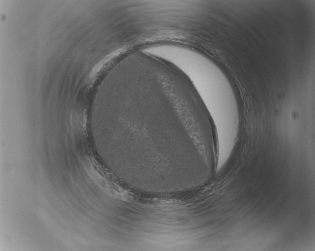 X0000051860539200507081825