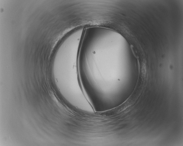 X0000051860540200507081825