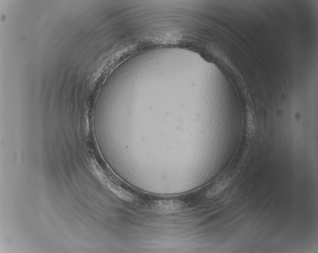 X0000051860541200507081825